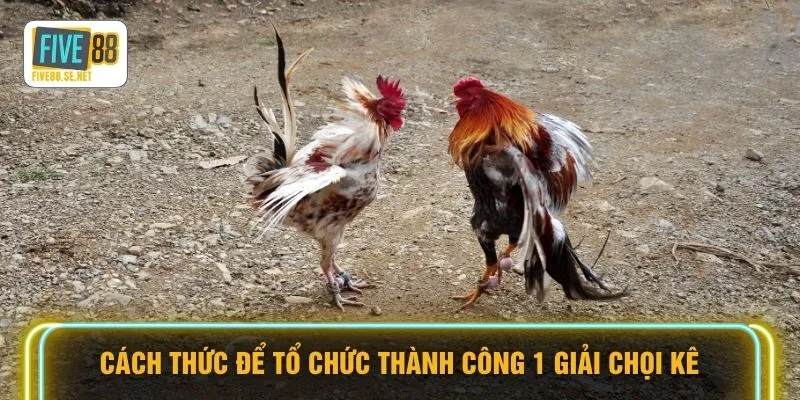 Đá Gà Campuchia - Đột Kích Đấu Trường Nghẹt Thở 2026 3 Cách thức để tổ chức thành công 1 giải chọi kê