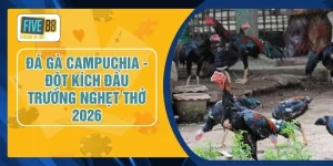 Đá Gà Campuchia - Đột Kích Đấu Trường Nghẹt Thở 2026
