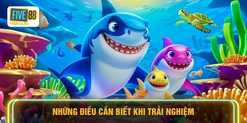 Những điều cần biết khi trải nghiệm